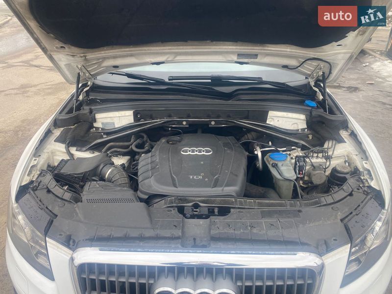 Внедорожник / Кроссовер Audi Q5 2011 в Киеве фото 9 Внедорожник / Кроссовер Audi Q5 2011 в Киеве
