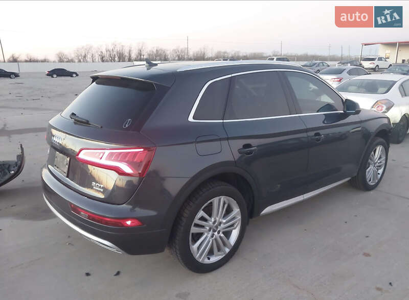 Внедорожник / Кроссовер Audi Q5 2018 в Житомире