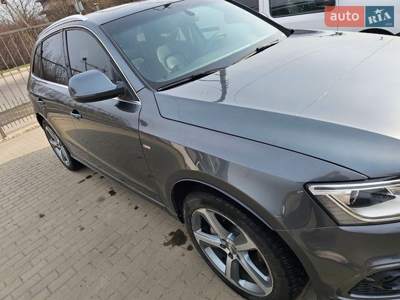 Внедорожник / Кроссовер Audi Q5 2014 в Луцке фото 5 Внедорожник / Кроссовер Audi Q5 2014 в Луцке