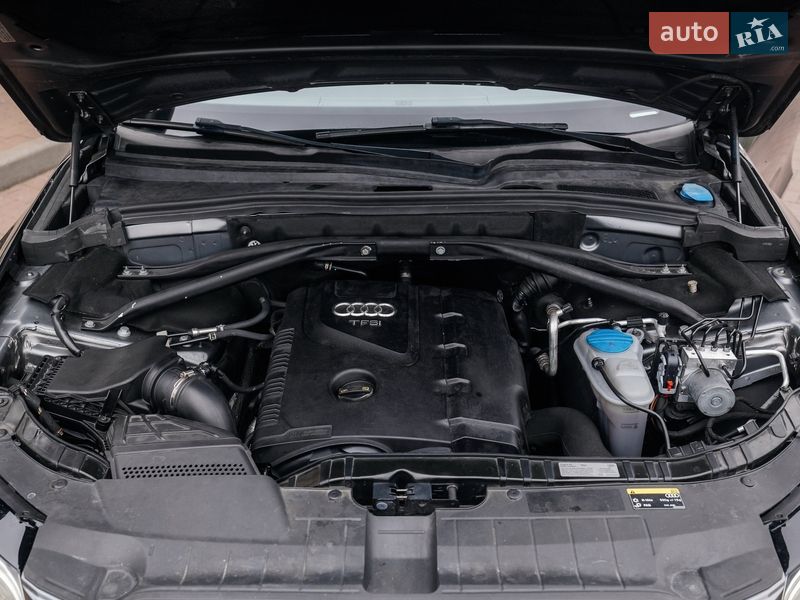 Внедорожник / Кроссовер Audi Q5 2016 в Стрые фото 71 Внедорожник / Кроссовер Audi Q5 2016 в Стрые