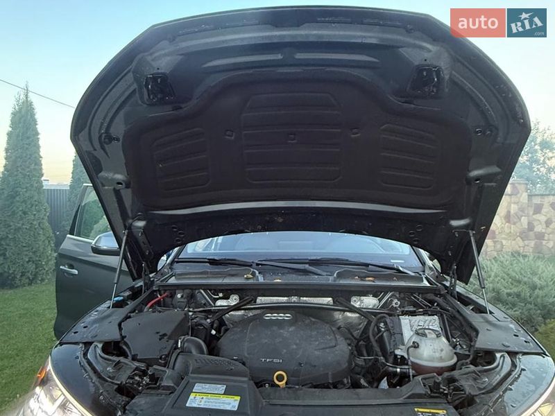 Внедорожник / Кроссовер Audi Q5 2019 в Чорткове фото 3 Внедорожник / Кроссовер Audi Q5 2019 в Чорткове