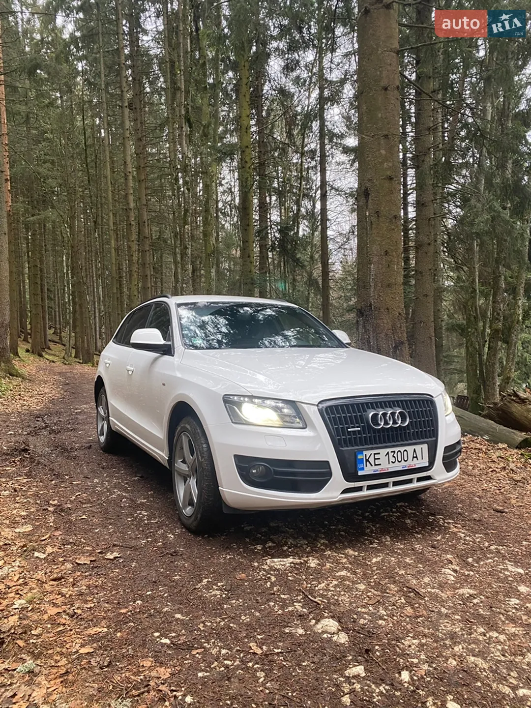 2010 Audi Q5 - мініатюра 3
