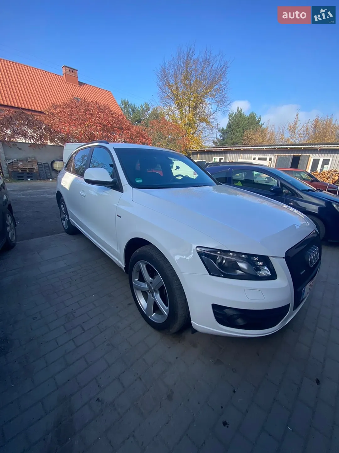 2010 Audi Q5 - мініатюра 4