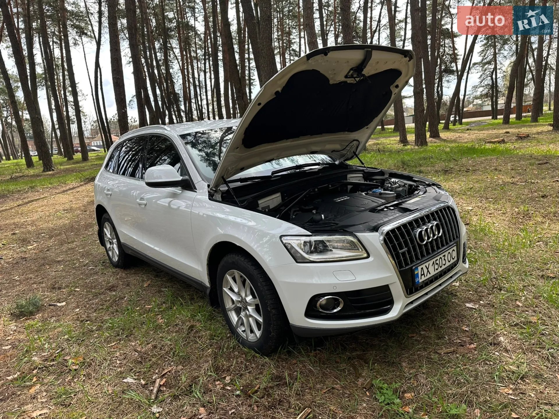 2013 Audi Q5 - мініатюра 9