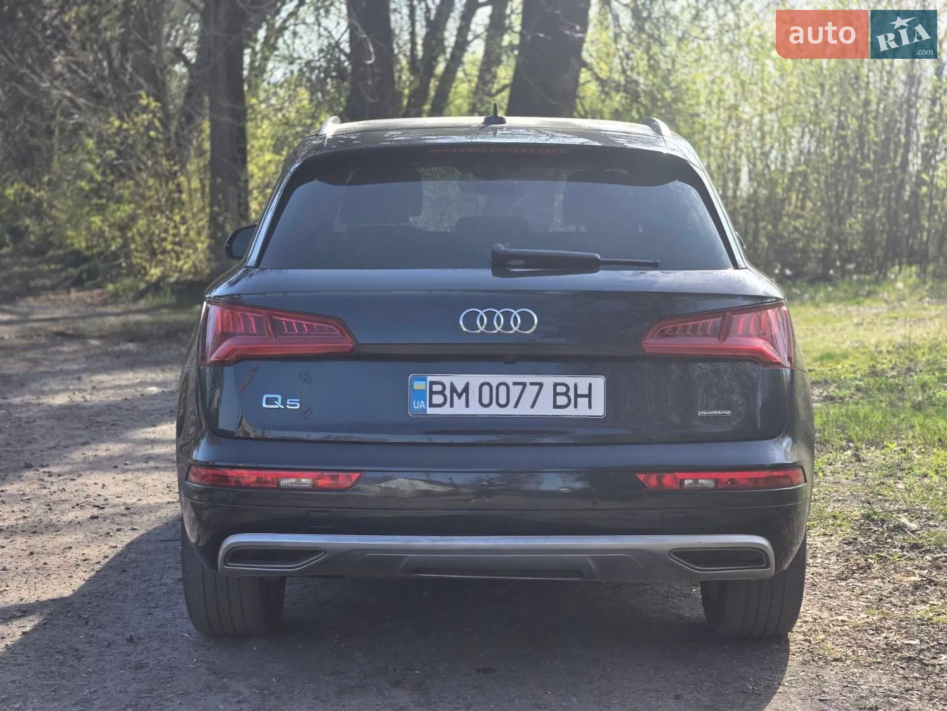 2019 Audi Q5 - мініатюра 4
