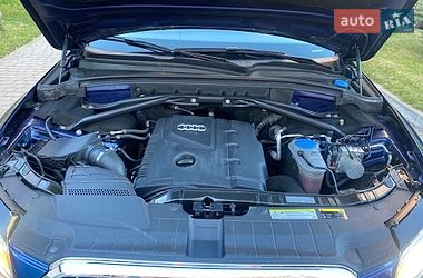 Внедорожник / Кроссовер Audi Q5 2016 в Луцке