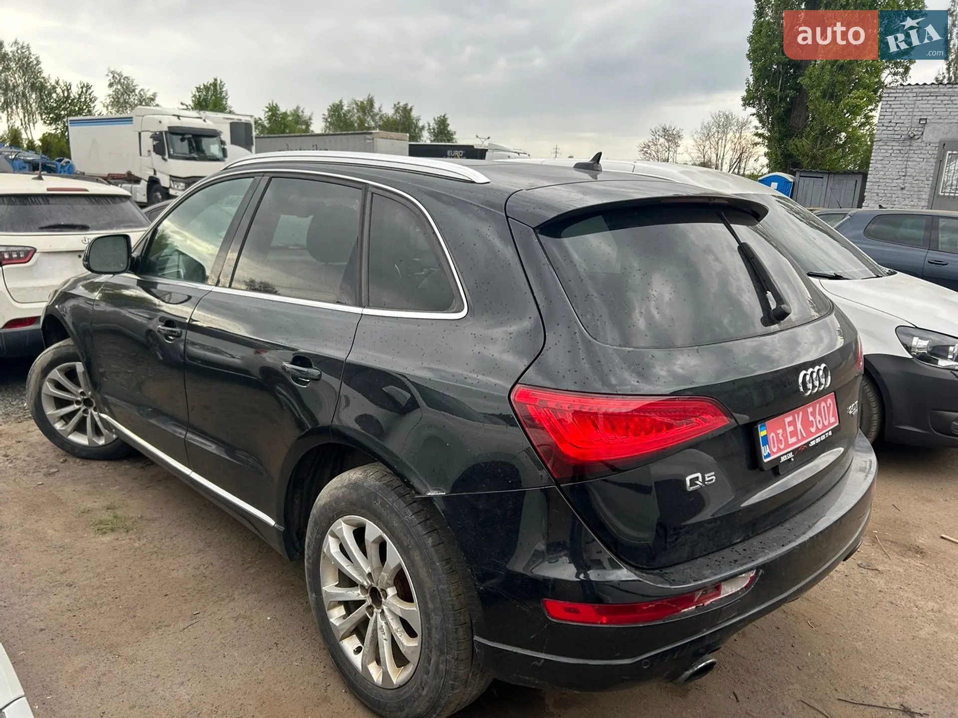 2013 Audi Q5 - мініатюра 4