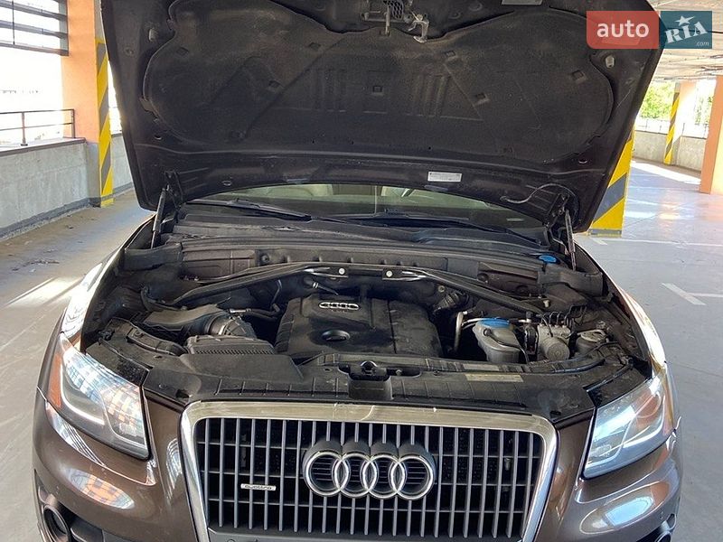 Внедорожник / Кроссовер Audi Q5 2011 в Луцке фото 6 Внедорожник / Кроссовер Audi Q5 2011 в Луцке