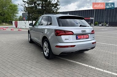Внедорожник / Кроссовер Audi Q5 2019 в Луцке