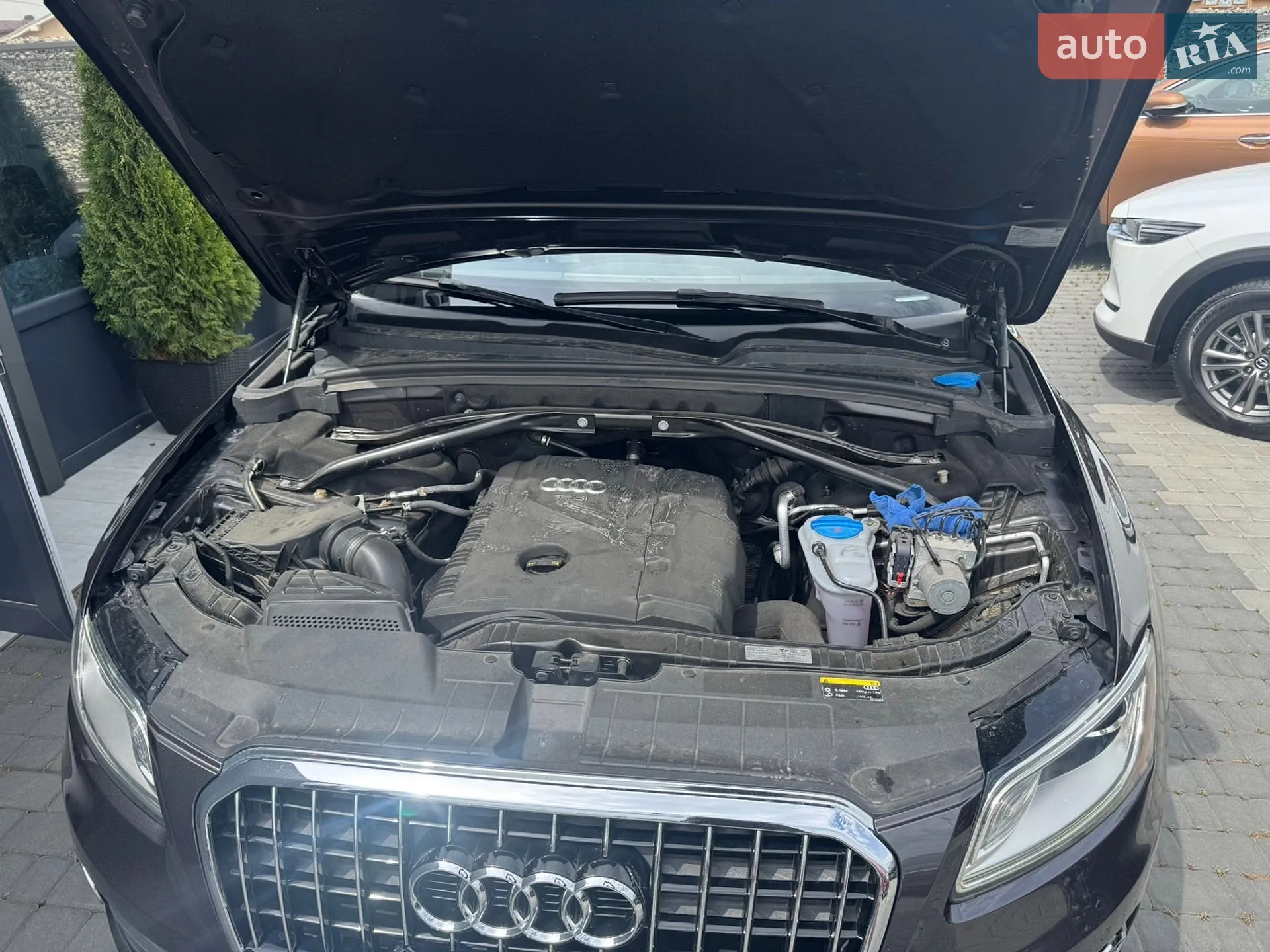 2013 Audi Q5 - мініатюра 14