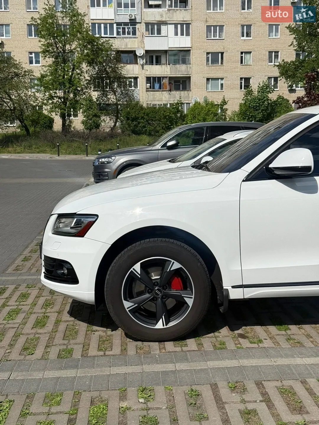 2015 Audi Q5 - мініатюра 13