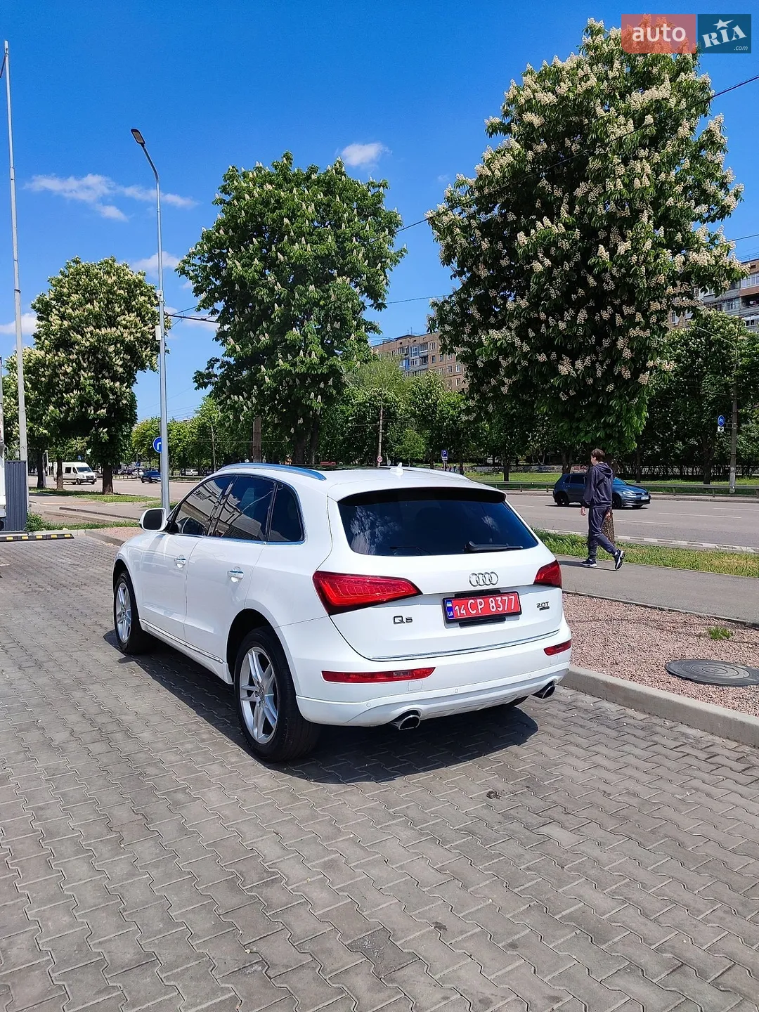 2016 Audi Q5 - мініатюра 6