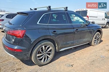 Внедорожник / Кроссовер Audi Q5 2021 в Львове