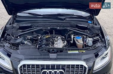 Позашляховик / Кросовер Audi Q5 2014 в Луцьку фото 21 Позашляховик / Кросовер Audi Q5 2014 в Луцьку