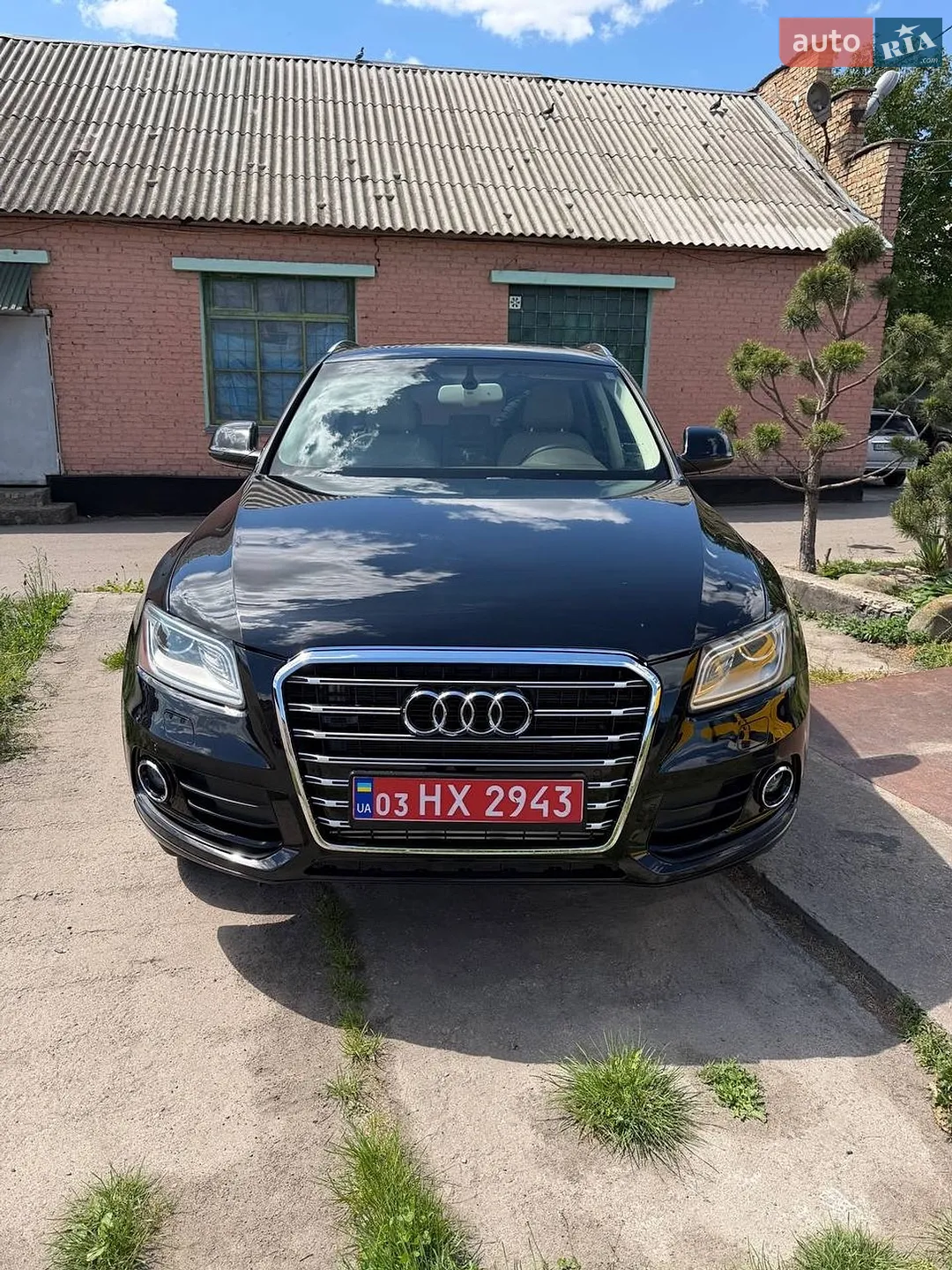 2012 Audi Q5 - мініатюра 4