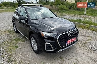 Внедорожник / Кроссовер Audi Q5 2023 в Бердичеве