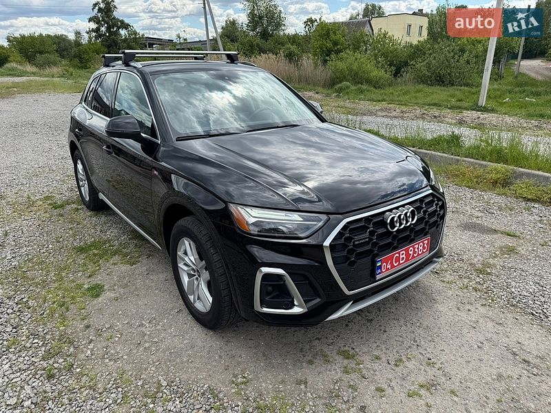 Внедорожник / Кроссовер Audi Q5 2023 в Бердичеве