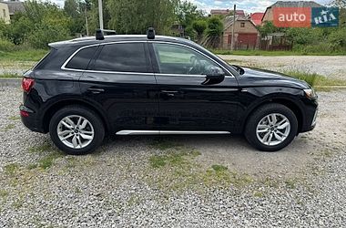 Внедорожник / Кроссовер Audi Q5 2023 в Бердичеве