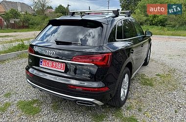 Внедорожник / Кроссовер Audi Q5 2023 в Бердичеве