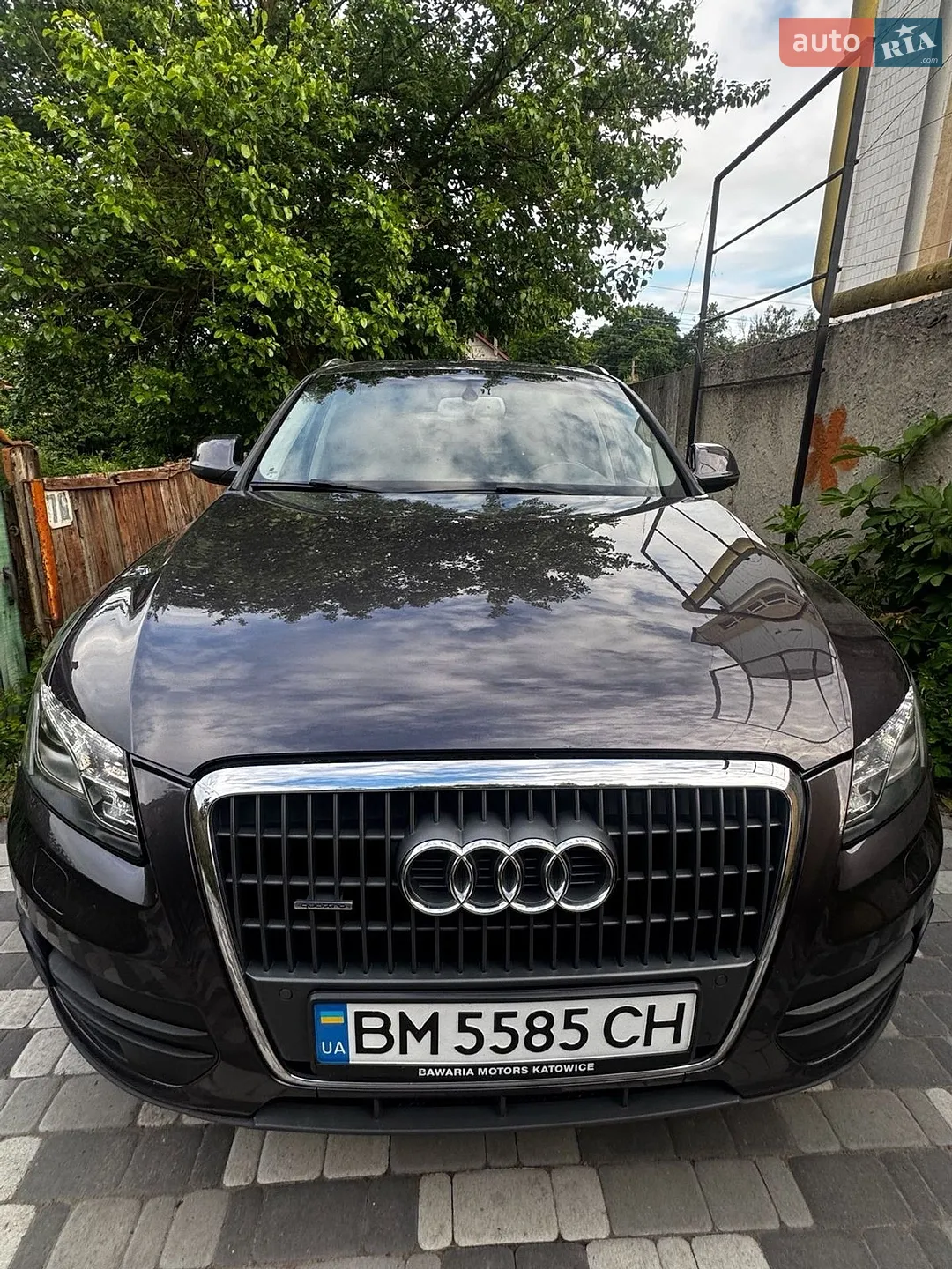 2011 Audi Q5 - мініатюра 4