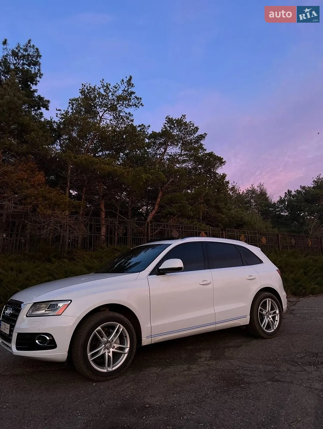2013 Audi Q5 - фото 1