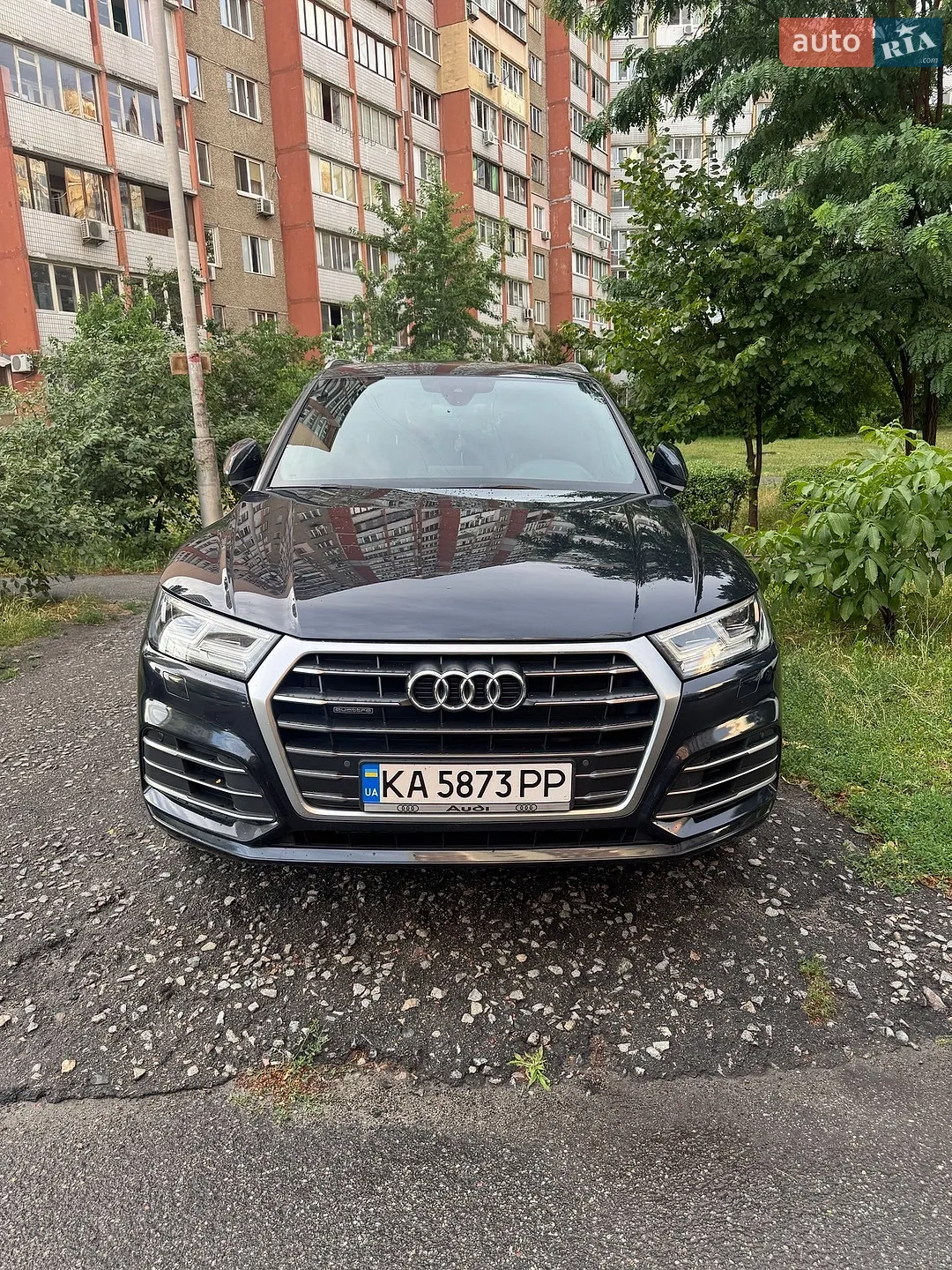 2019 Audi Q5 - фото 1