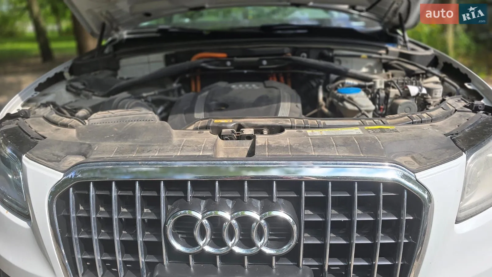 2013 Audi Q5 - мініатюра 20