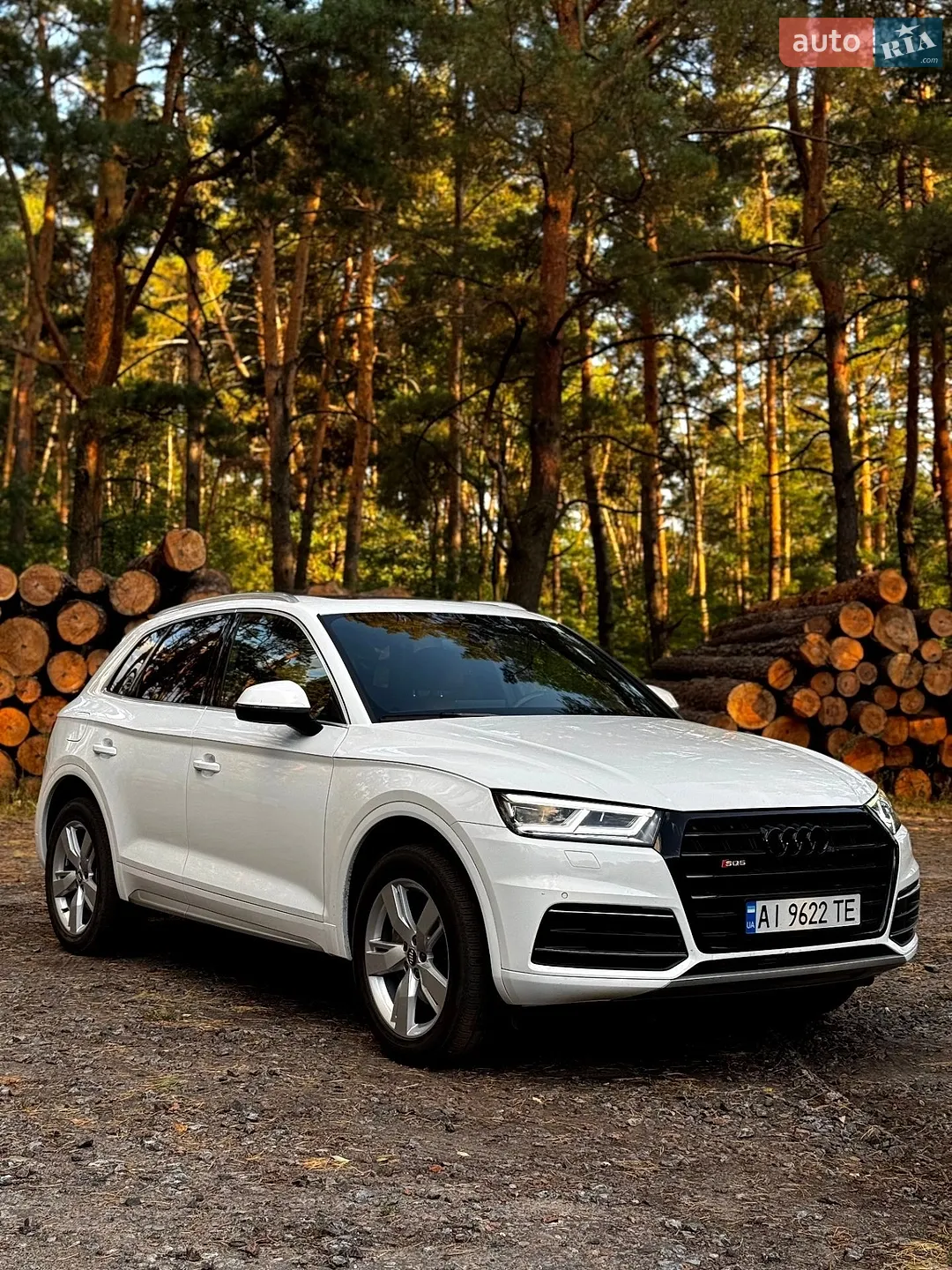 2019 Audi Q5 - мініатюра 2