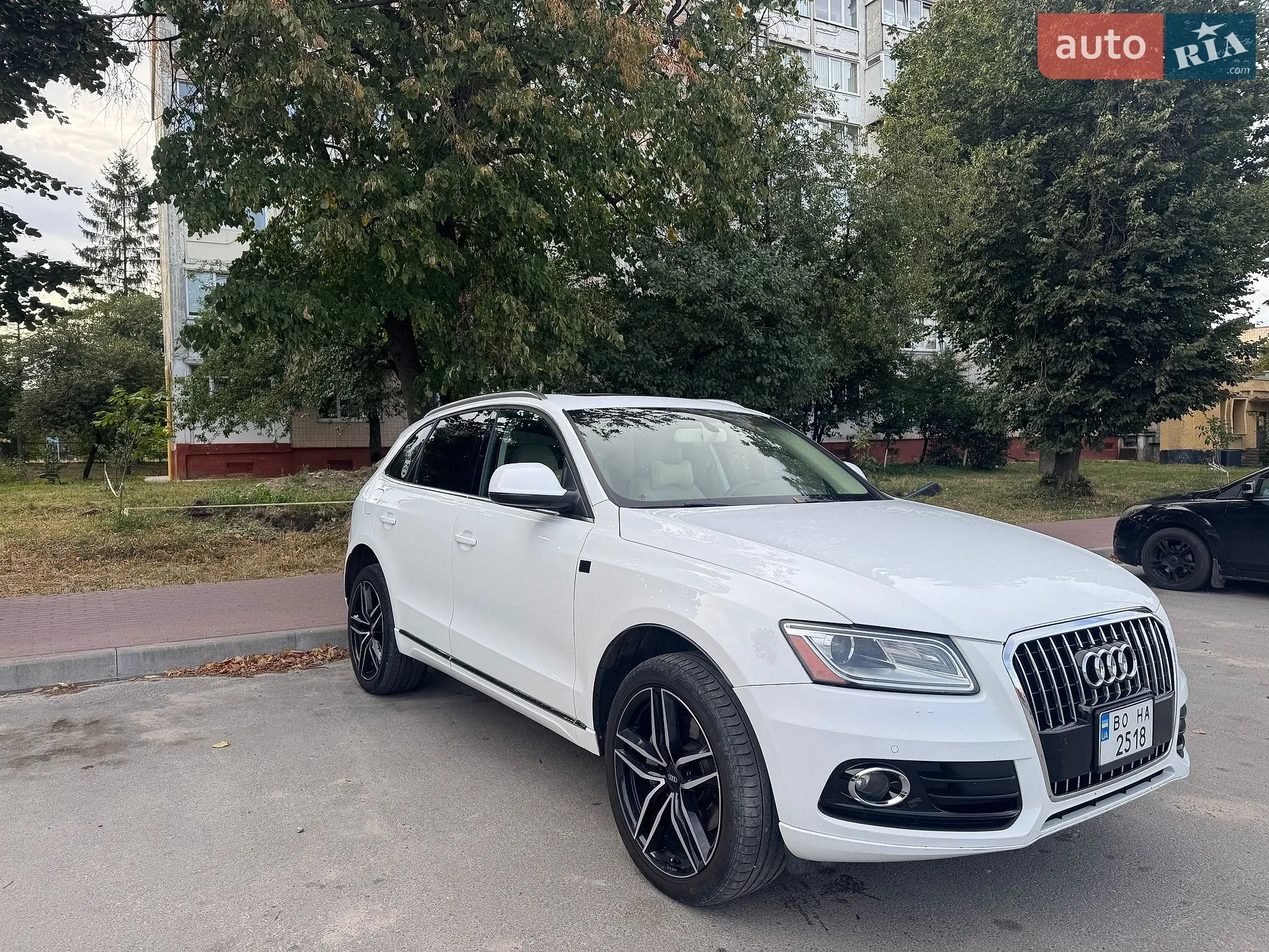 2014 Audi Q5 - мініатюра 4