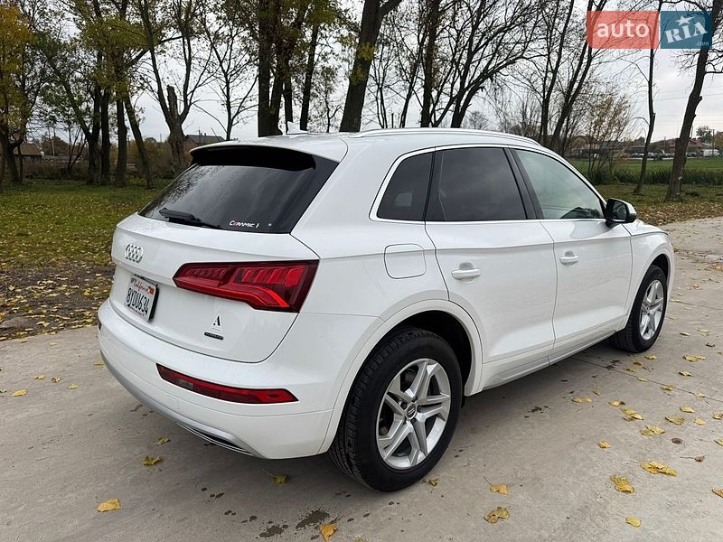 Позашляховик / Кросовер Audi Q5 2019 в Львові фото 5 Позашляховик / Кросовер Audi Q5 2019 в Львові