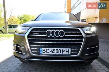 Внедорожник / Кроссовер Audi Q7 2019 в 