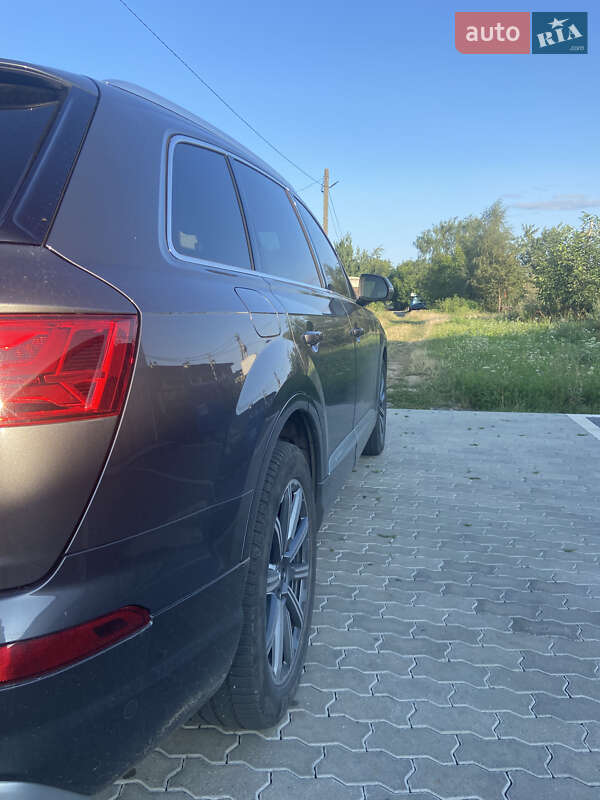 Внедорожник / Кроссовер Audi Q7 2019 в Ужгороде