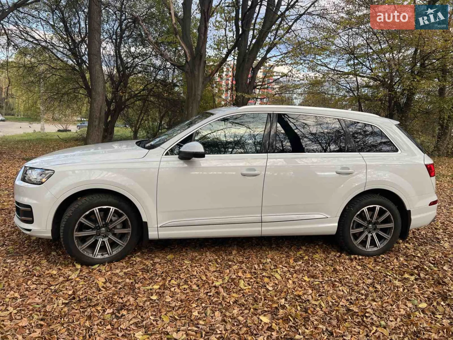 2019 Audi Q7 - мініатюра 21