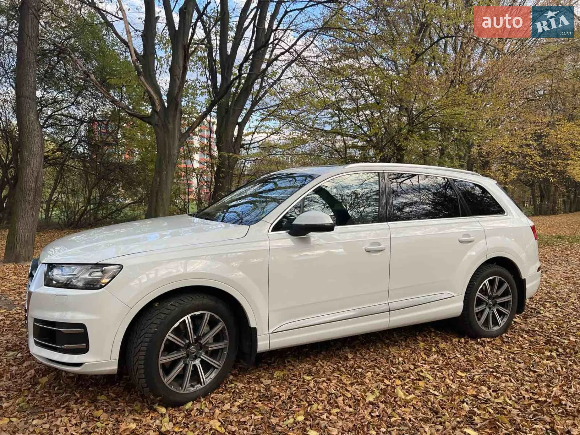 2019 Audi Q7 - мініатюра 23