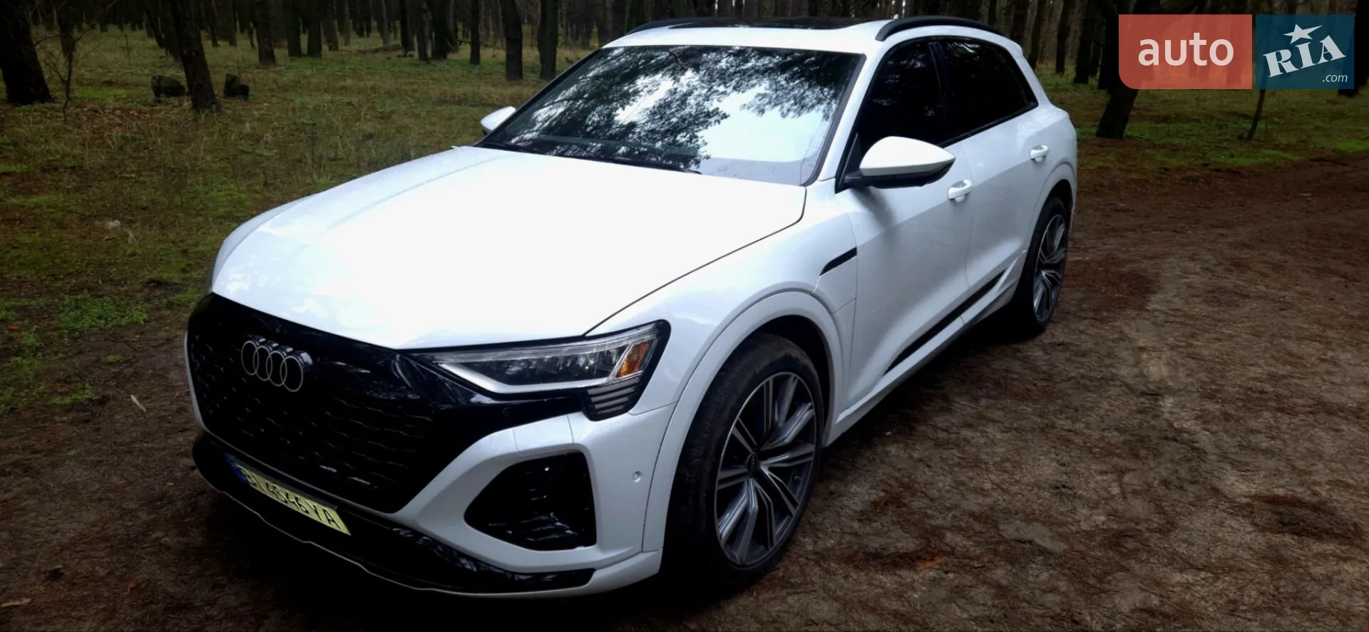 2023 Audi Q8 - мініатюра 8
