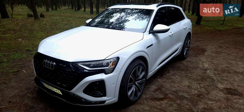 Внедорожник / Кроссовер Audi Q8 e-tron 2023 в Горишних Плавнях
