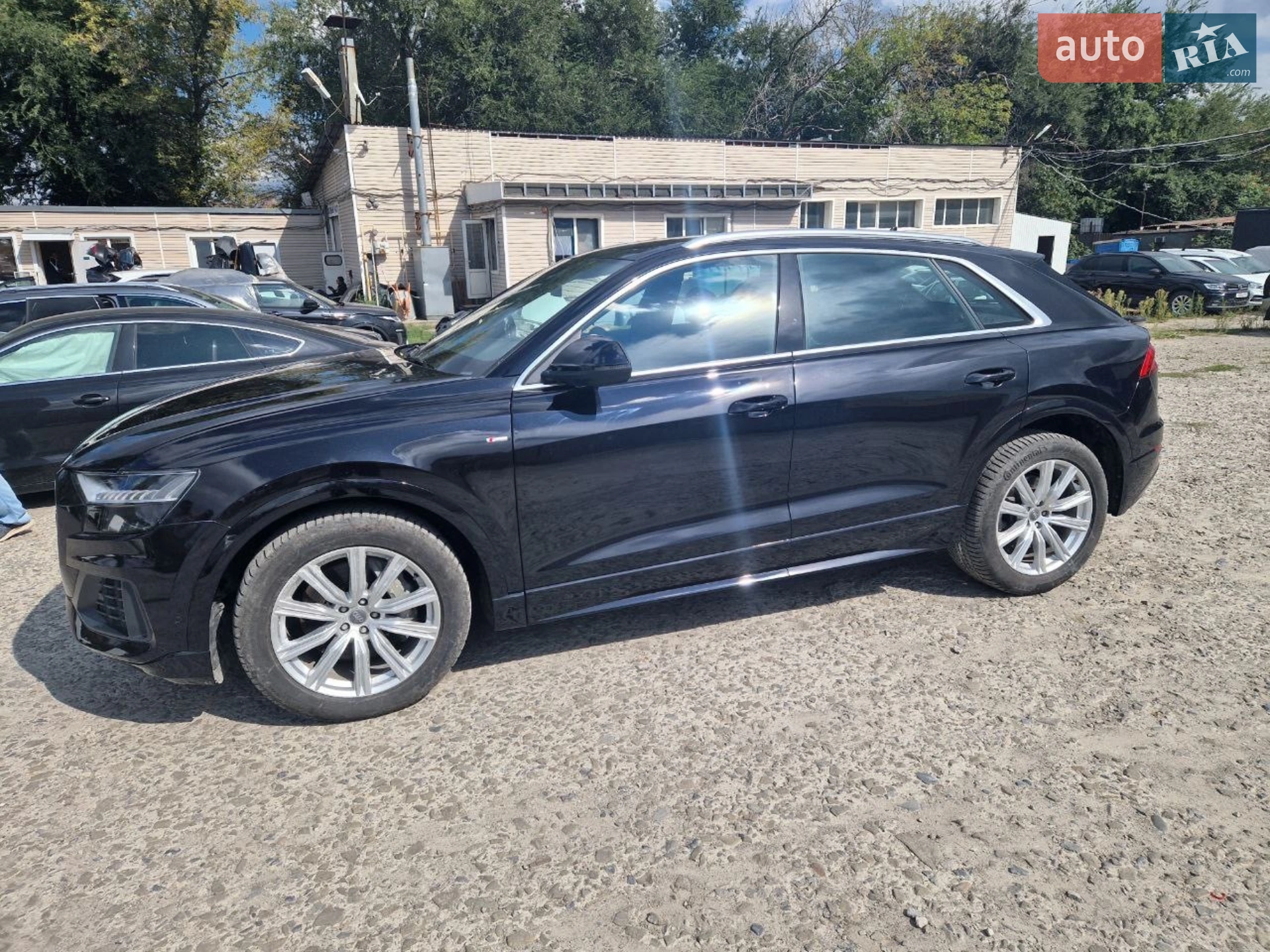 2019 Audi Q8 - мініатюра 4