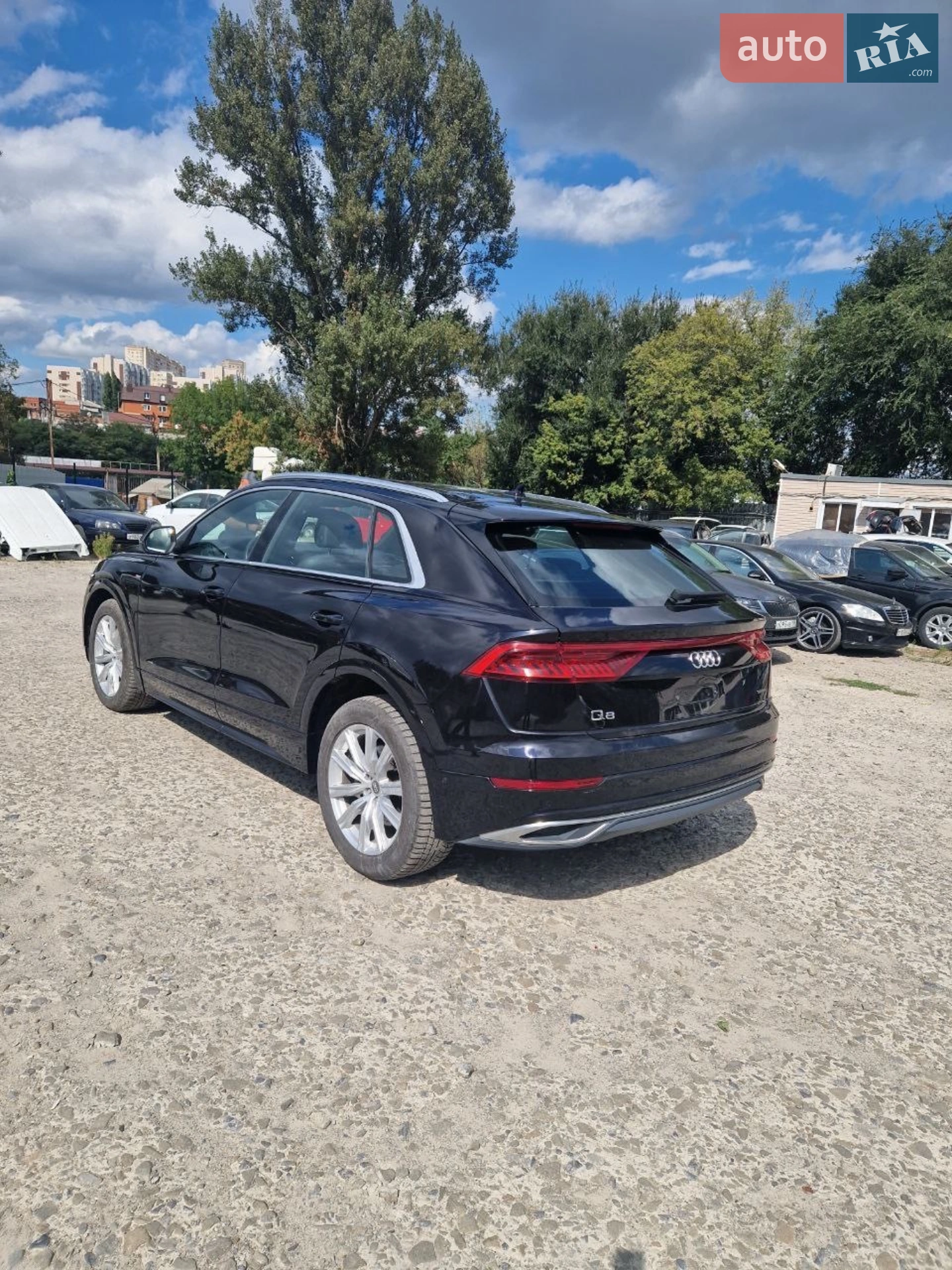 2019 Audi Q8 - мініатюра 5