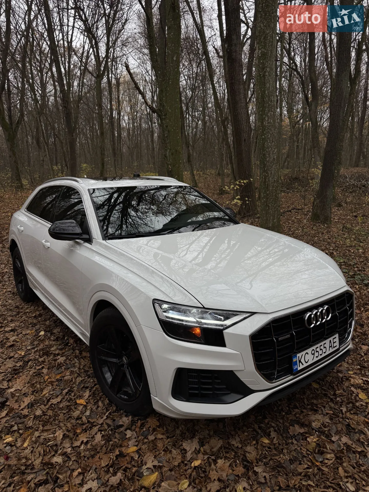 2018 Audi Q8 - мініатюра 9