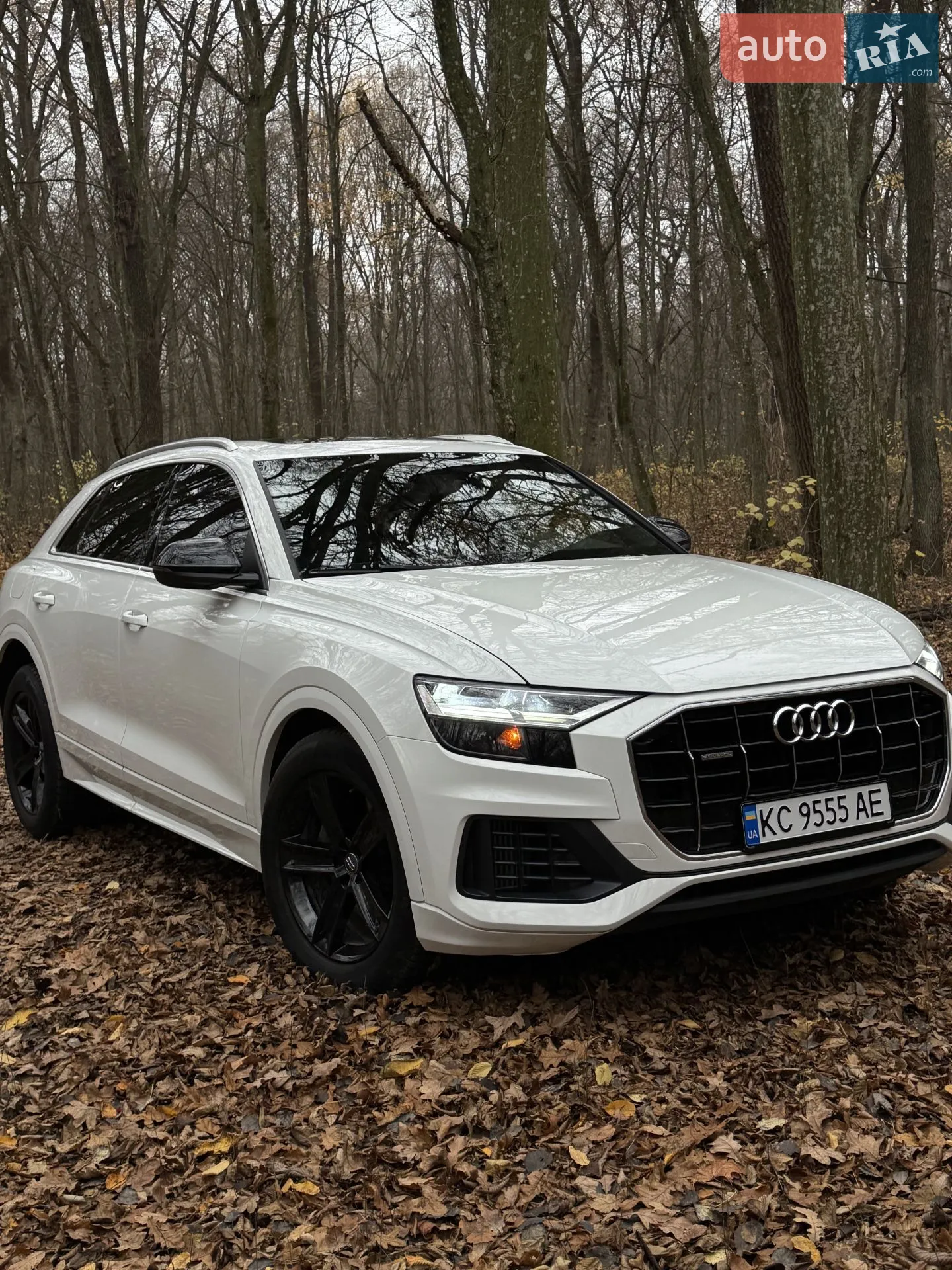 2018 Audi Q8 - мініатюра 13