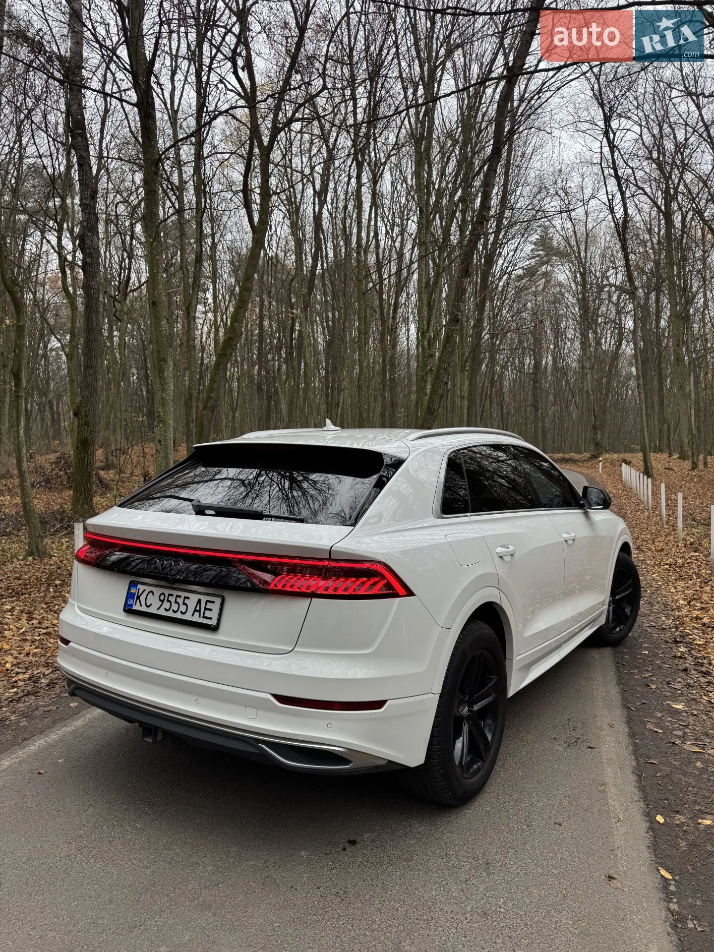2018 Audi Q8 - мініатюра 22