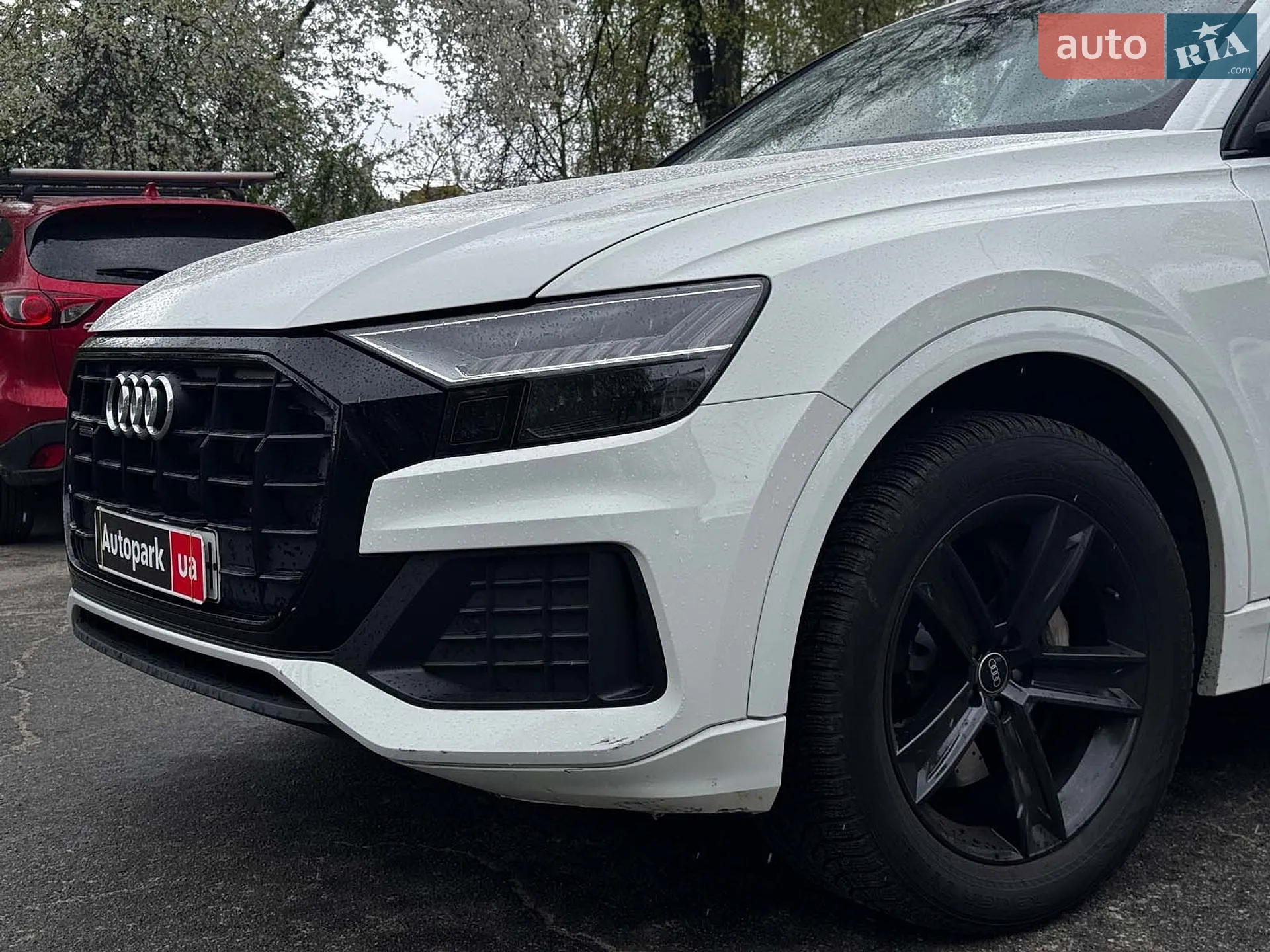 2021 Audi Q8 - мініатюра 4