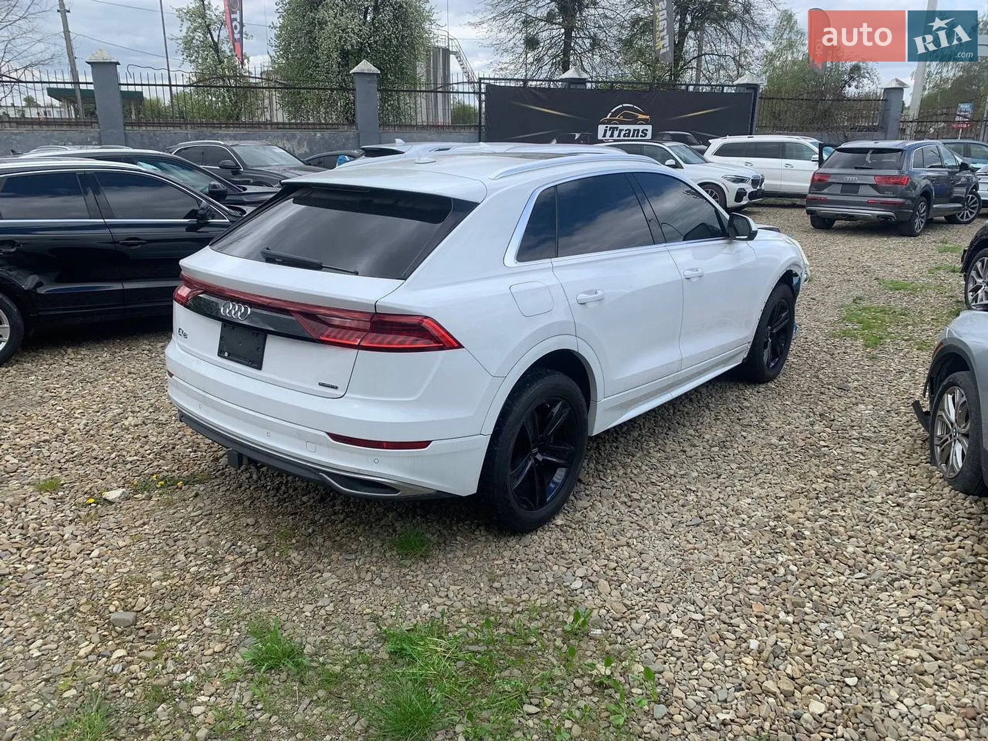 2019 Audi Q8 - фото 1