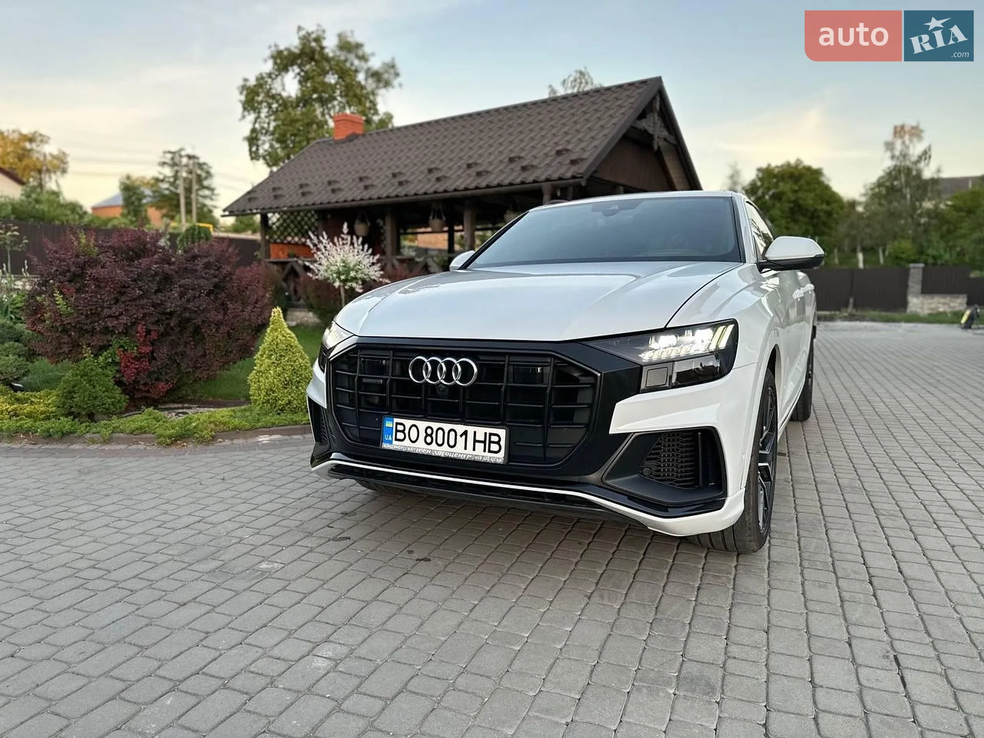 2019 Audi Q8 - мініатюра 2