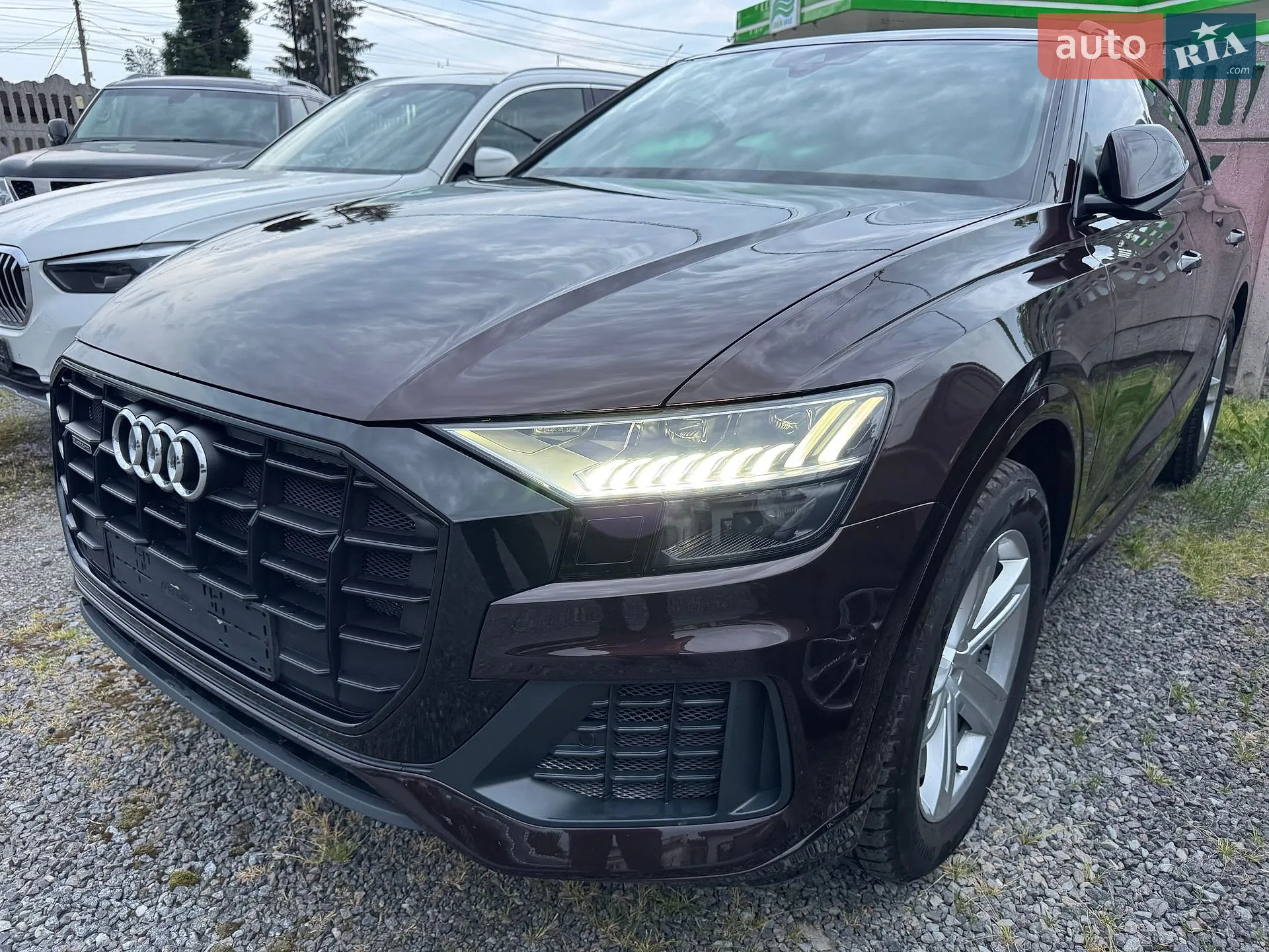 2019 Audi Q8 - мініатюра 4