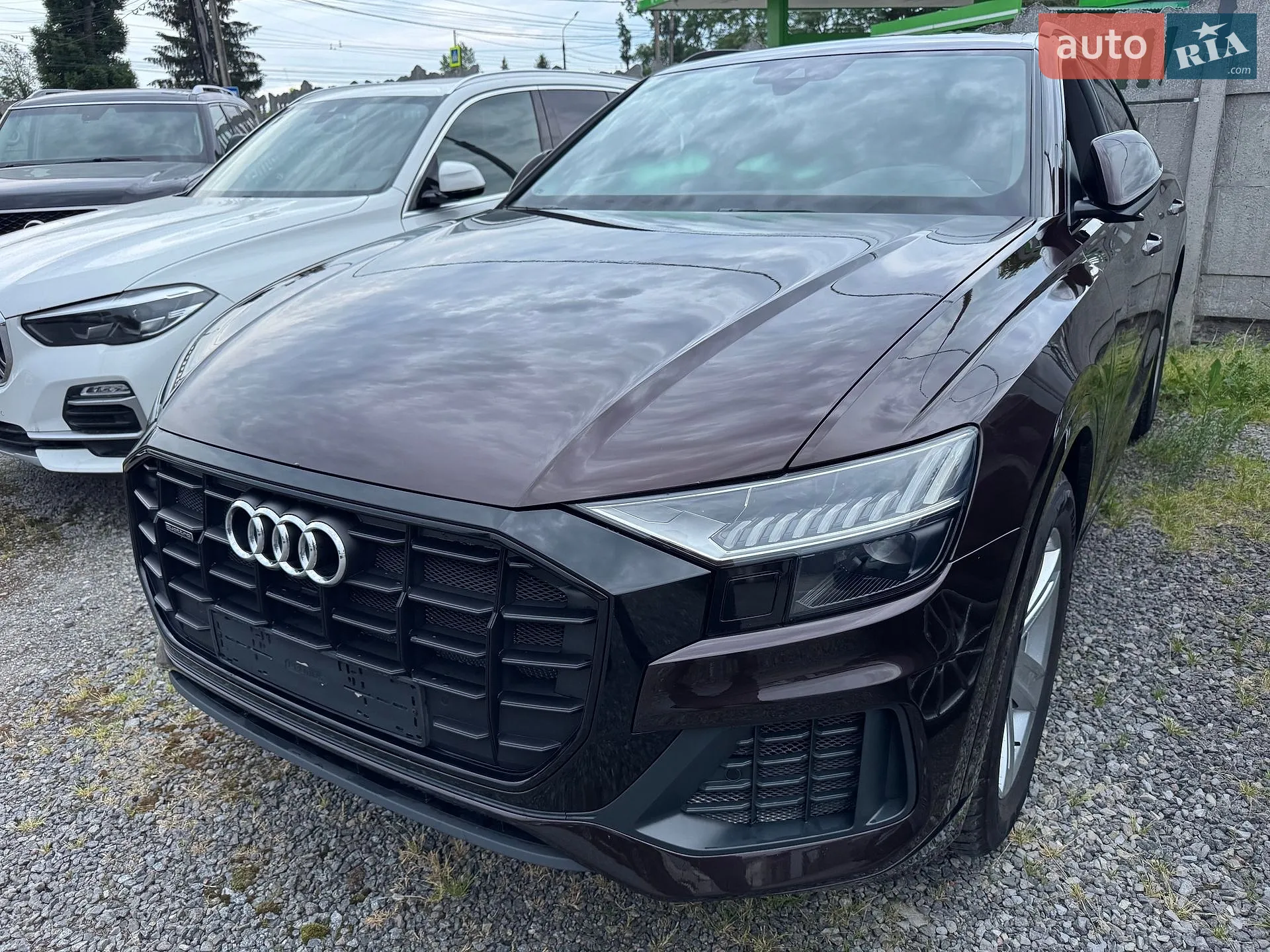 2019 Audi Q8 - мініатюра 2
