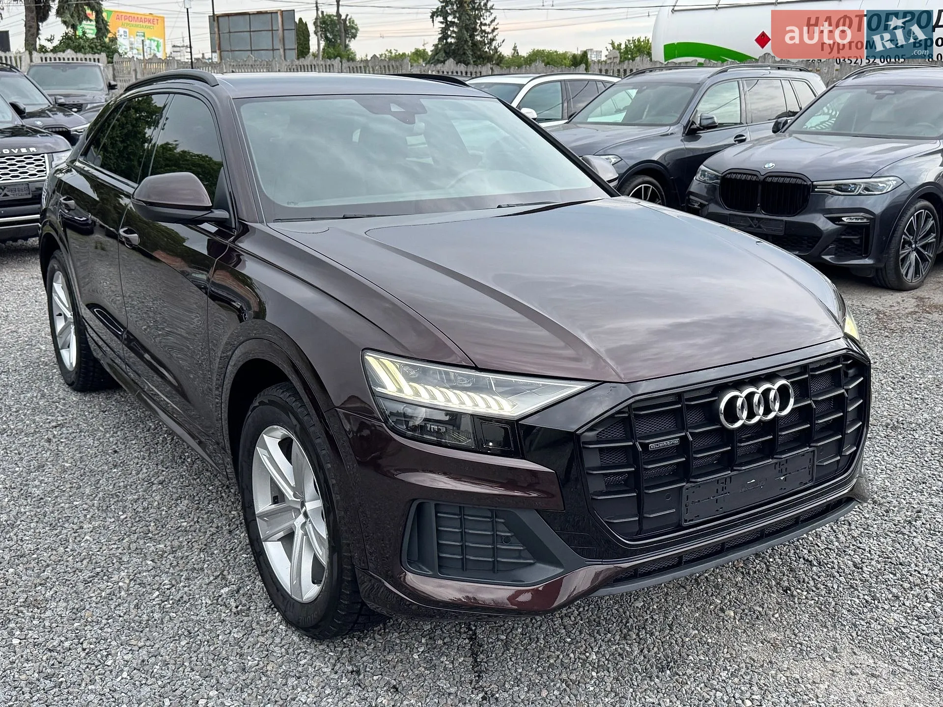 2019 Audi Q8 - мініатюра 98