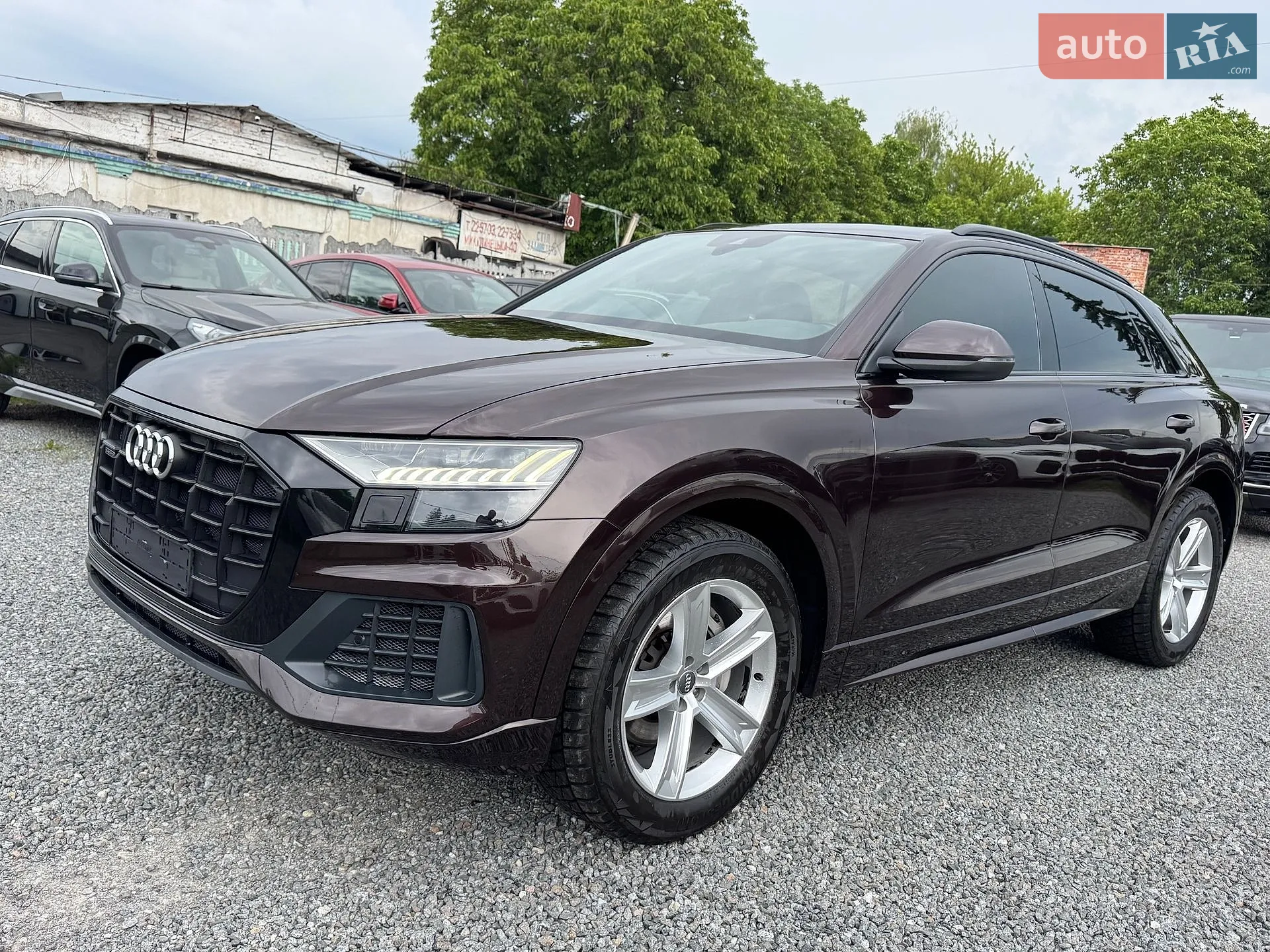 2019 Audi Q8 - мініатюра 104