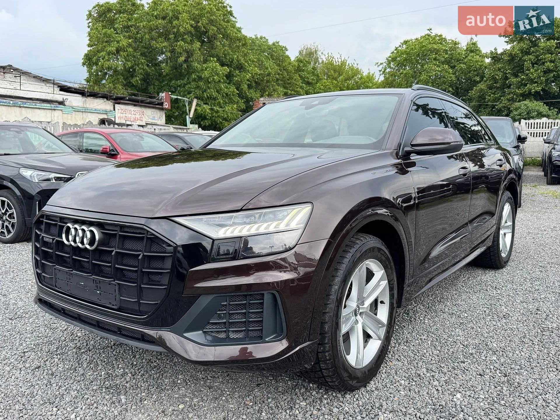 2019 Audi Q8 - фото 1