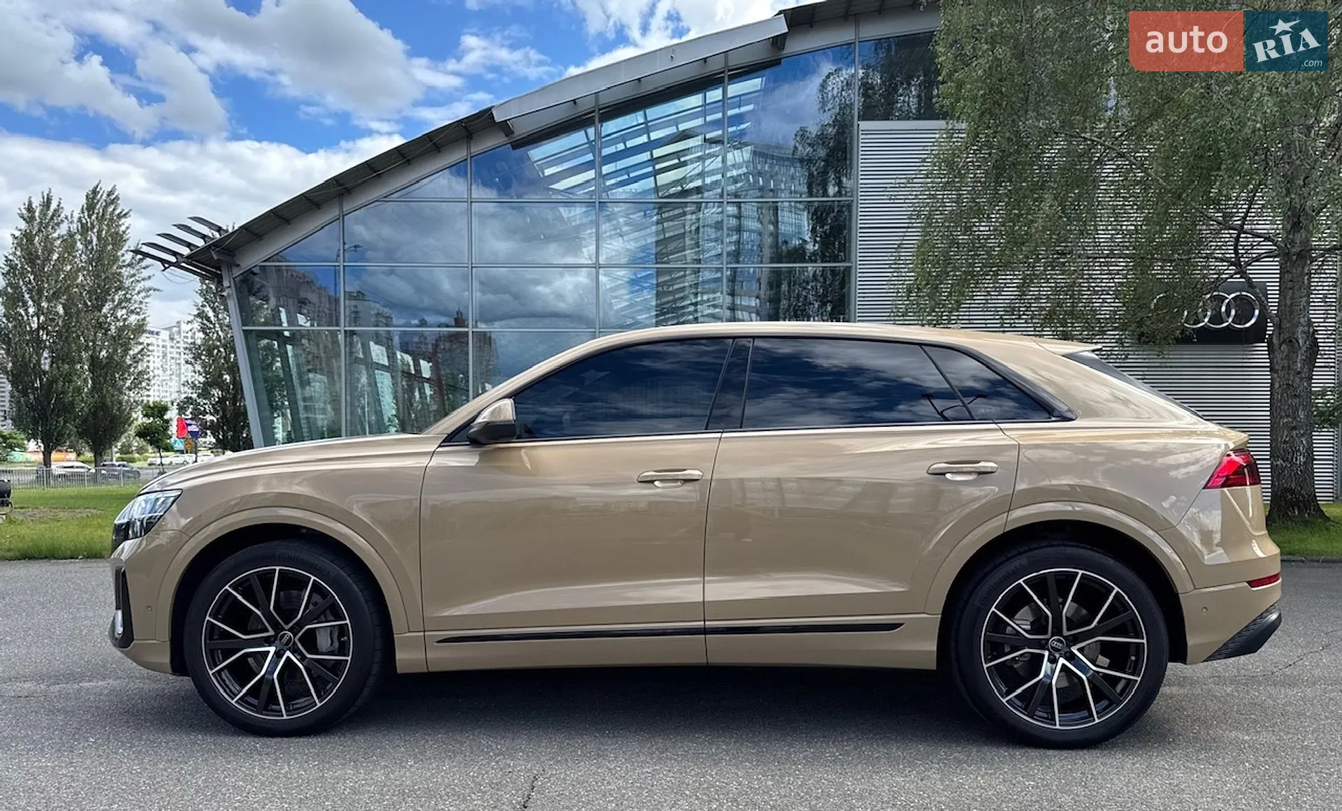 2025 Audi Q8 - мініатюра 26
